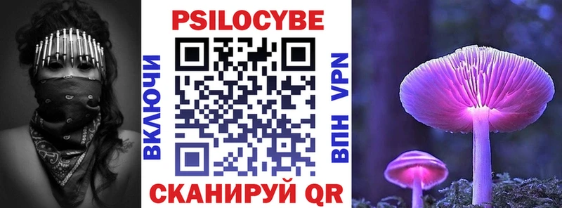 Псилоцибиновые грибы мухоморы  Купить закладки  Зубцов 