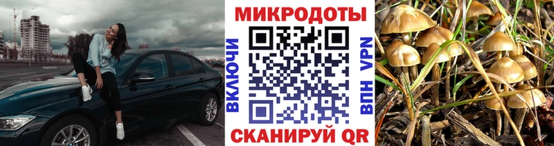 Галлюциногенные грибы Psilocybine cubensis Зубцов